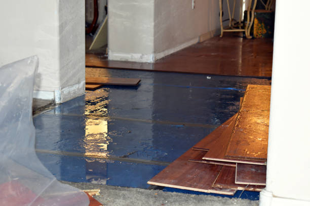 Professional Basement Water Removal technician working in Jersey City, NJ