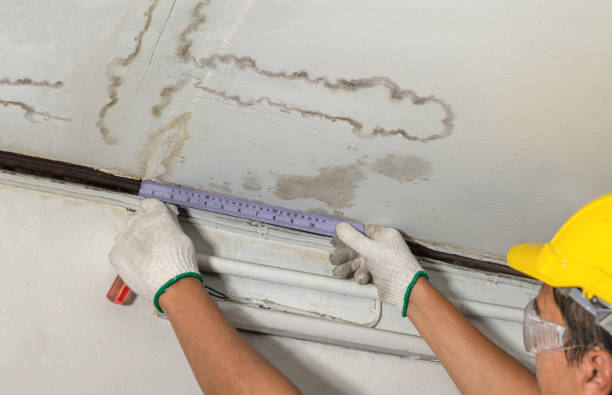 Reliable Basement Water Removal contractor in Jersey City, NJ by Water Damage Irwin